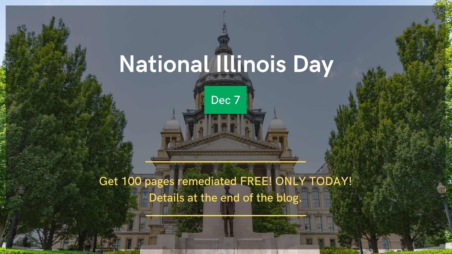 National Illinois Day - Remediation